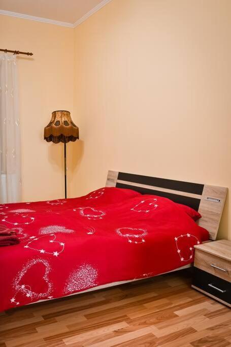 Casa Max Apartment Timisoara Ngoại thất bức ảnh