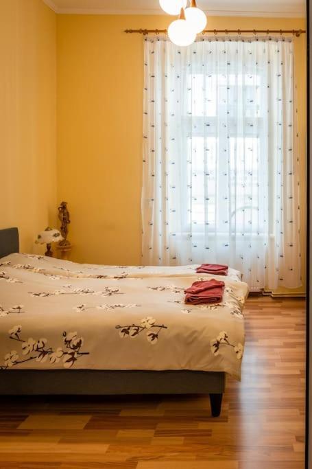 Casa Max Apartment Timisoara Ngoại thất bức ảnh