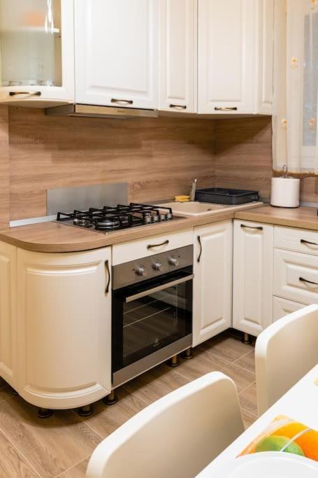 Casa Max Apartment Timisoara Ngoại thất bức ảnh