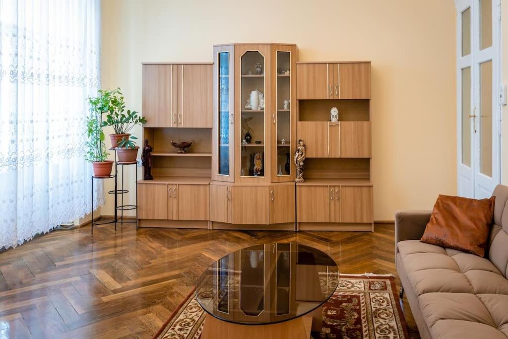 Casa Max Apartment Timisoara Ngoại thất bức ảnh