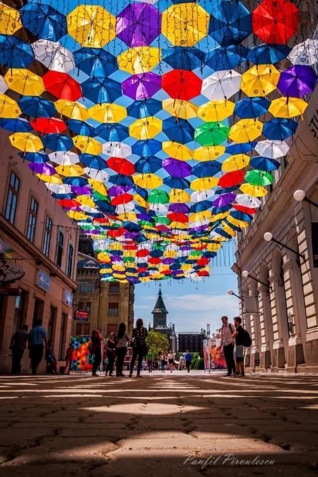 Casa Max Apartment Timisoara Ngoại thất bức ảnh